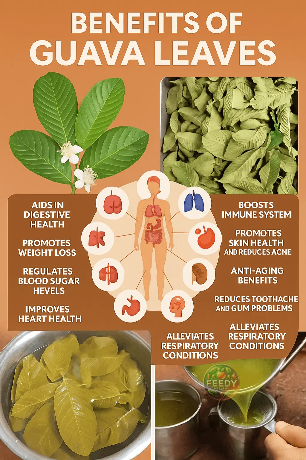Guava Leaves: 12 Powerful Benefits You Shouldn’t Miss