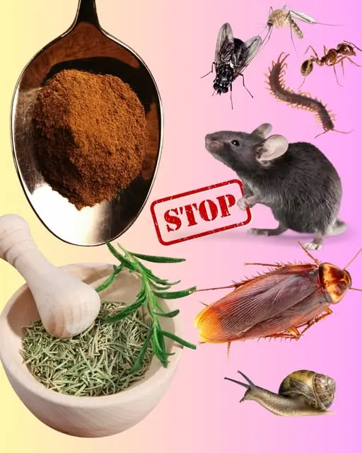 Natural Pest Repellent: Keep Your Home and Garden Safe Without Harsh Chemicals
