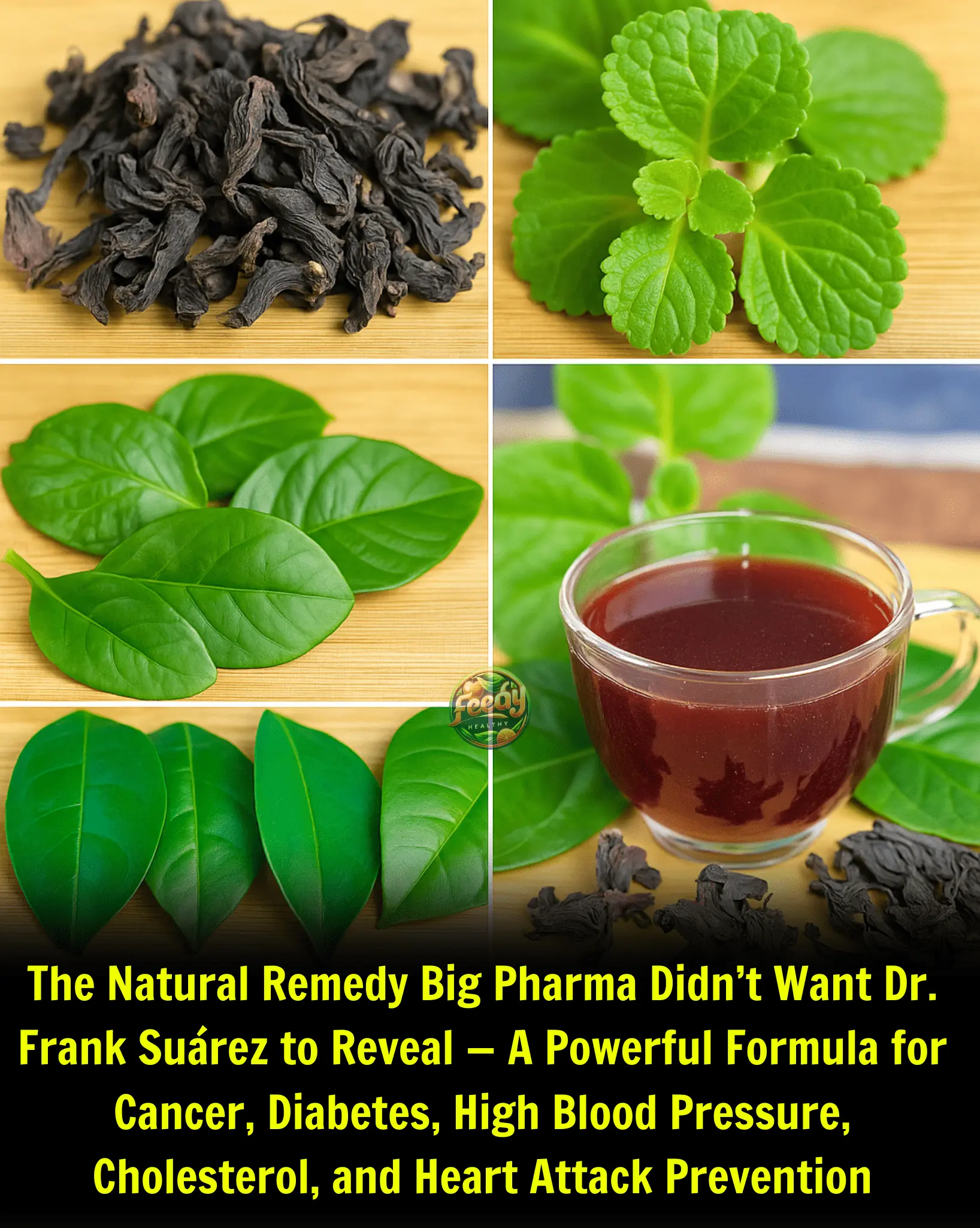 The Natural Remedy Big Pharma Didn’t Want Dr. Frank Suárez to Reveal — A Powerful Formula for Cancer, Diabetes, High Blood Pressure, Cholesterol, and Heart Attack Prevention