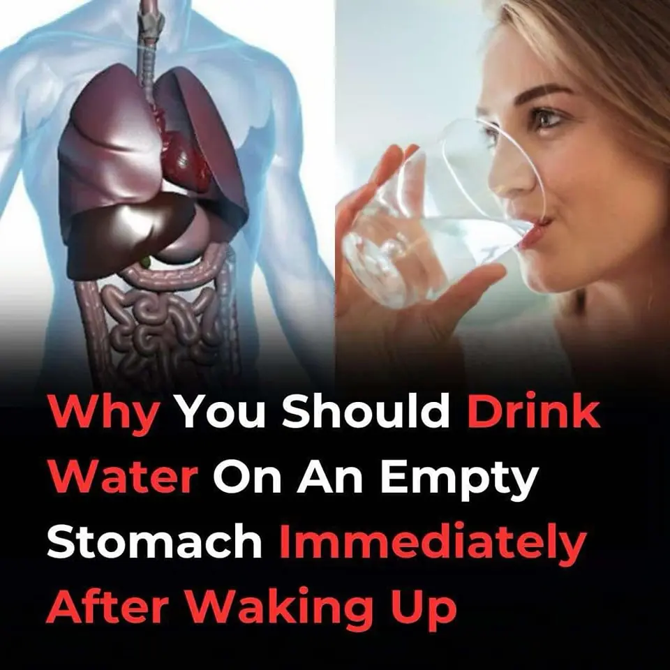 Should You Drink Water On An Empty Stomach When You Wake Up In The Morning?