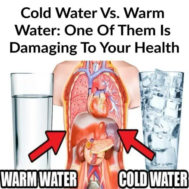 10 Benefits to Drinking Warm Water (No Lemon Required)