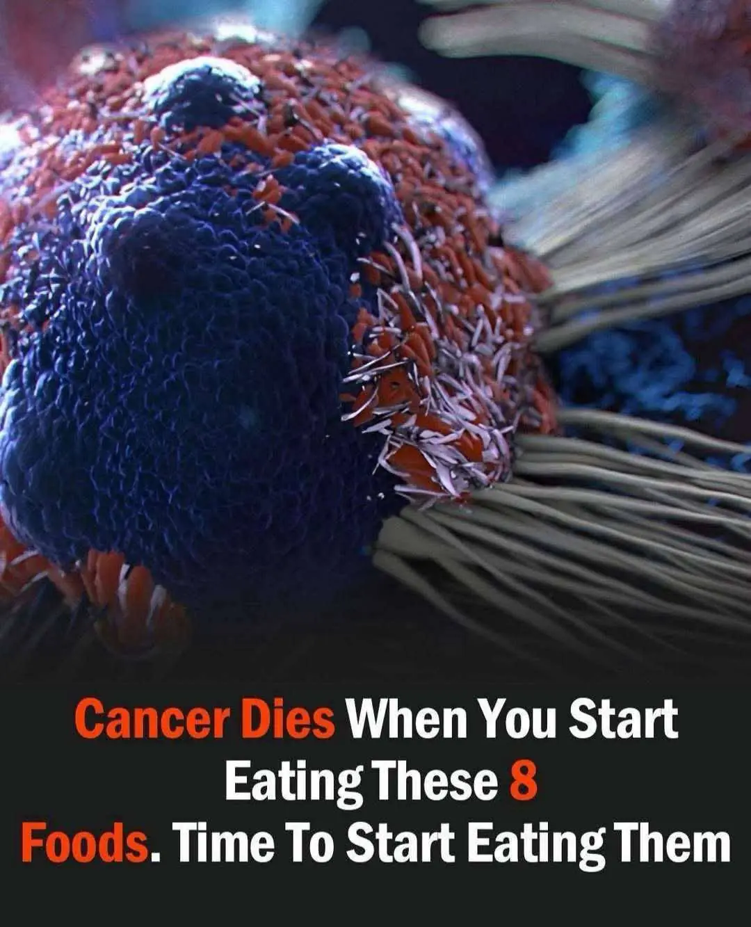 8 powerful anti-cancer foods you should start including in your diet