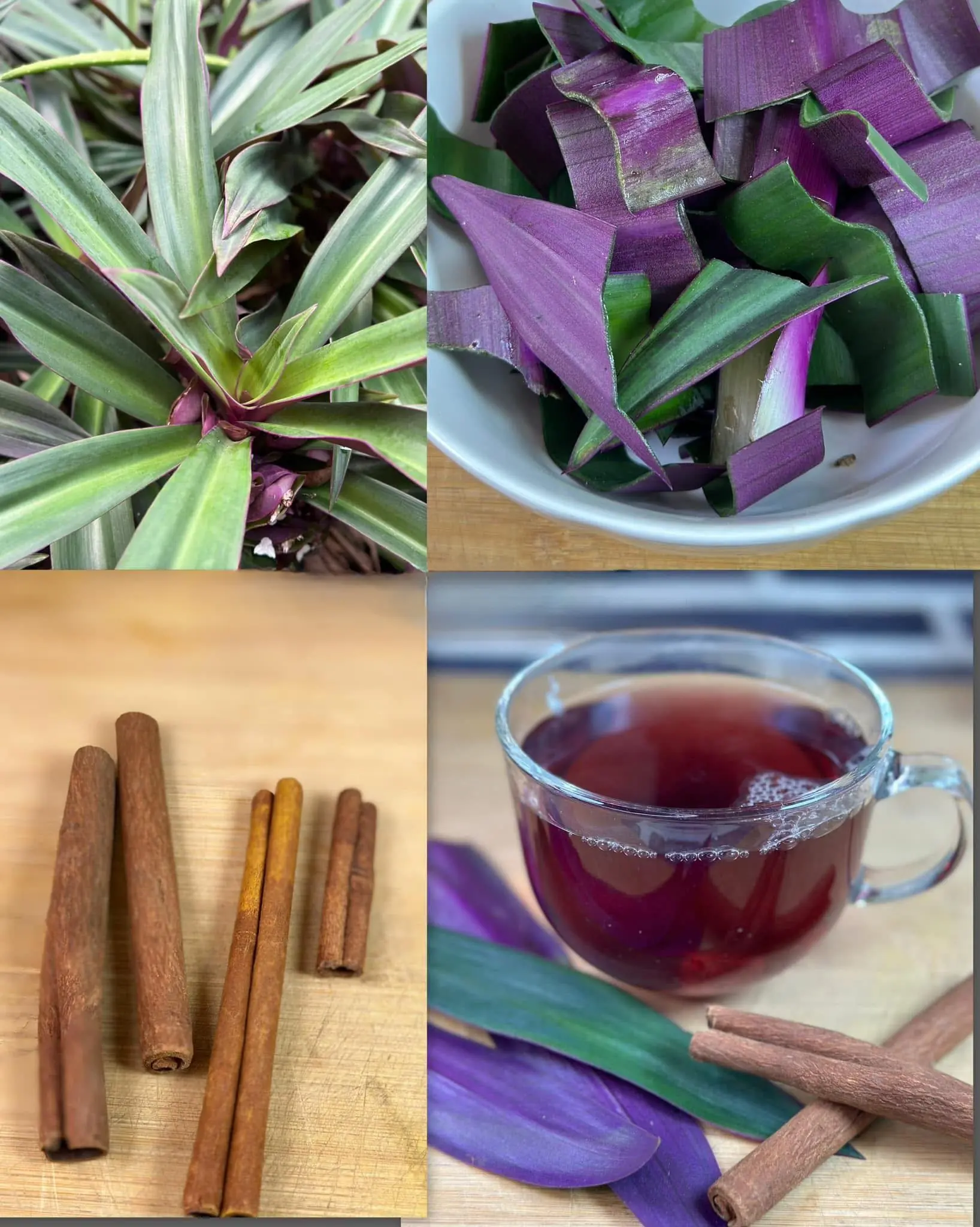 Say goodbye to urinary infections, asthma, diabetes, poor circulation, fatty liver, and high blood pressure