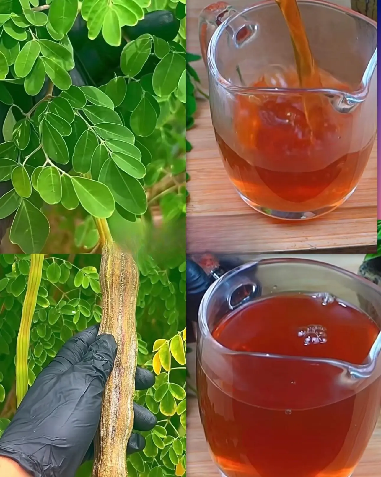 The plant that helps regulate blood sugar levels, supports the pancreas, and is useful for high blood pressure and Alzheimer's.
