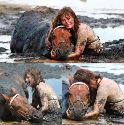 For 3 hours woman stays with trapped horse – then a farmer does everything he can to save its life