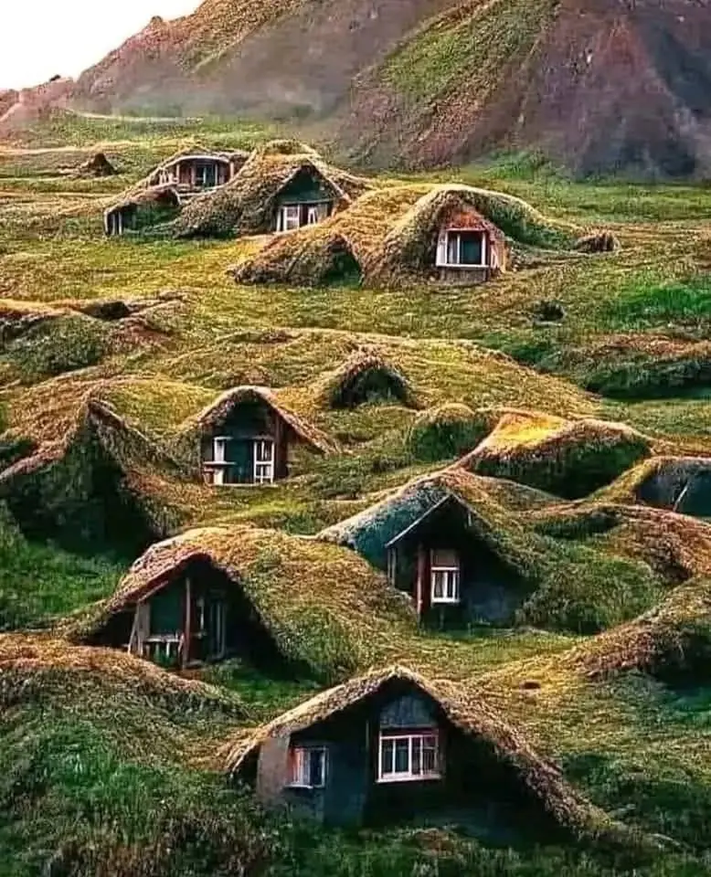 A Touch of Viking Brilliance: Moss-Carpeted Homes in Norway