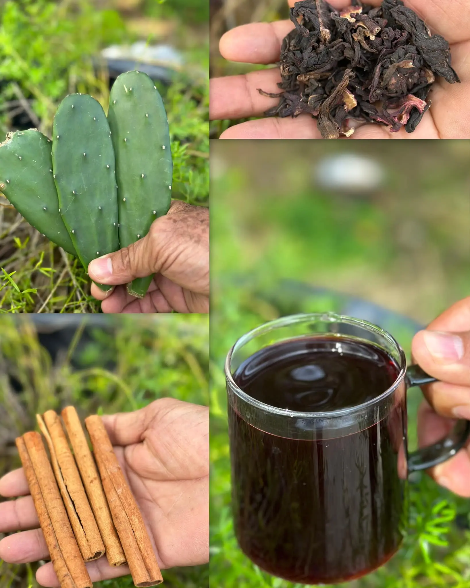 Mix prickly pear (nopal) with hibiscus flower and cinnamon