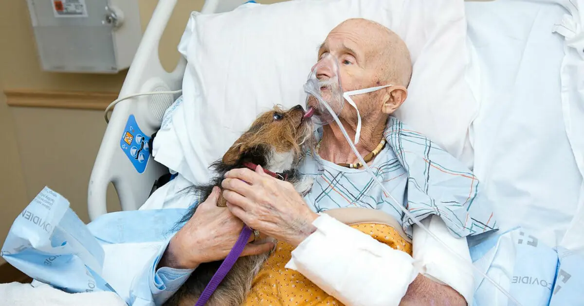 Dying veteran in hospice gets his final wish: to see his dog one last time