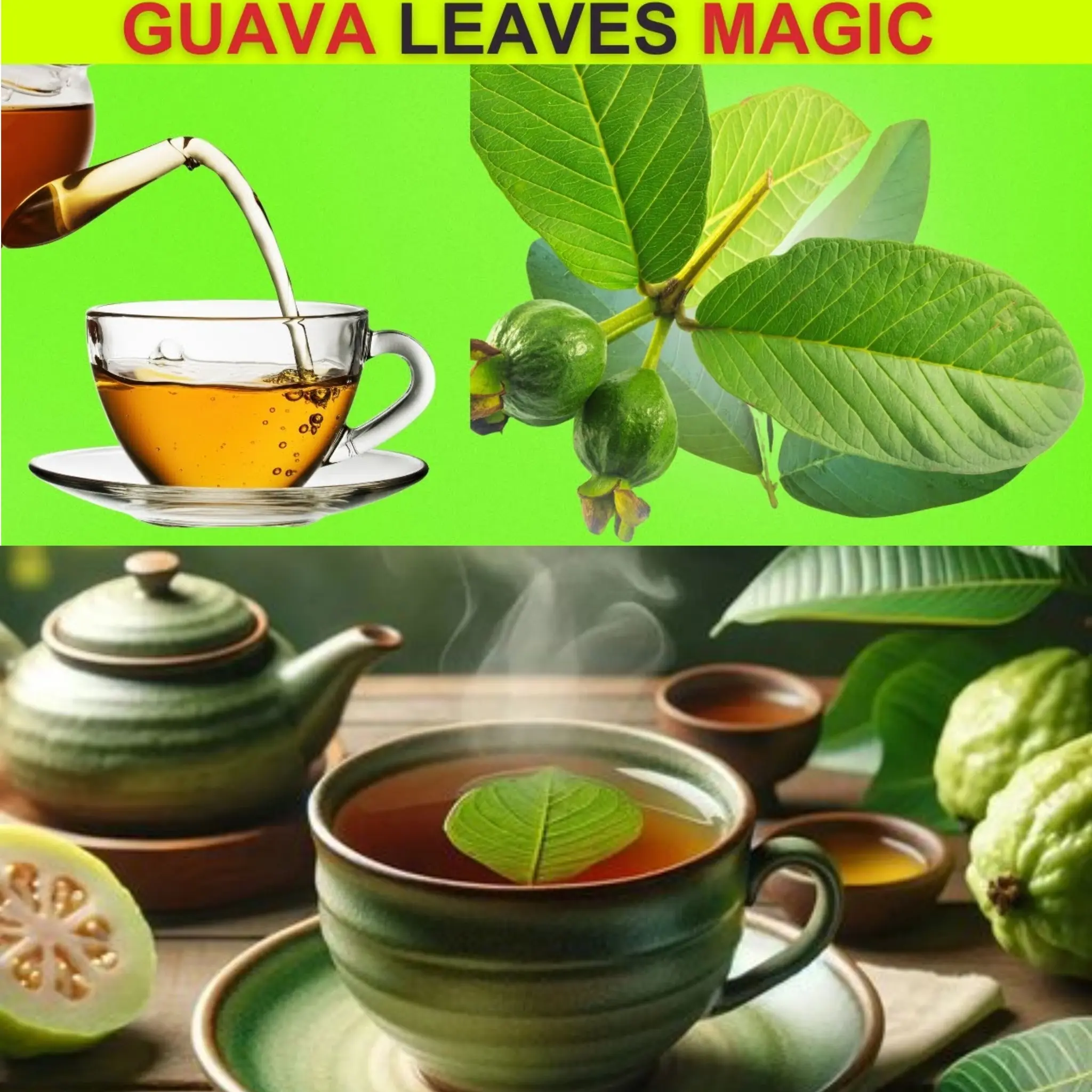 Incredible Benefits of Guava Leaves โ 11 Reasons to Drink Guava Leaf Tea!