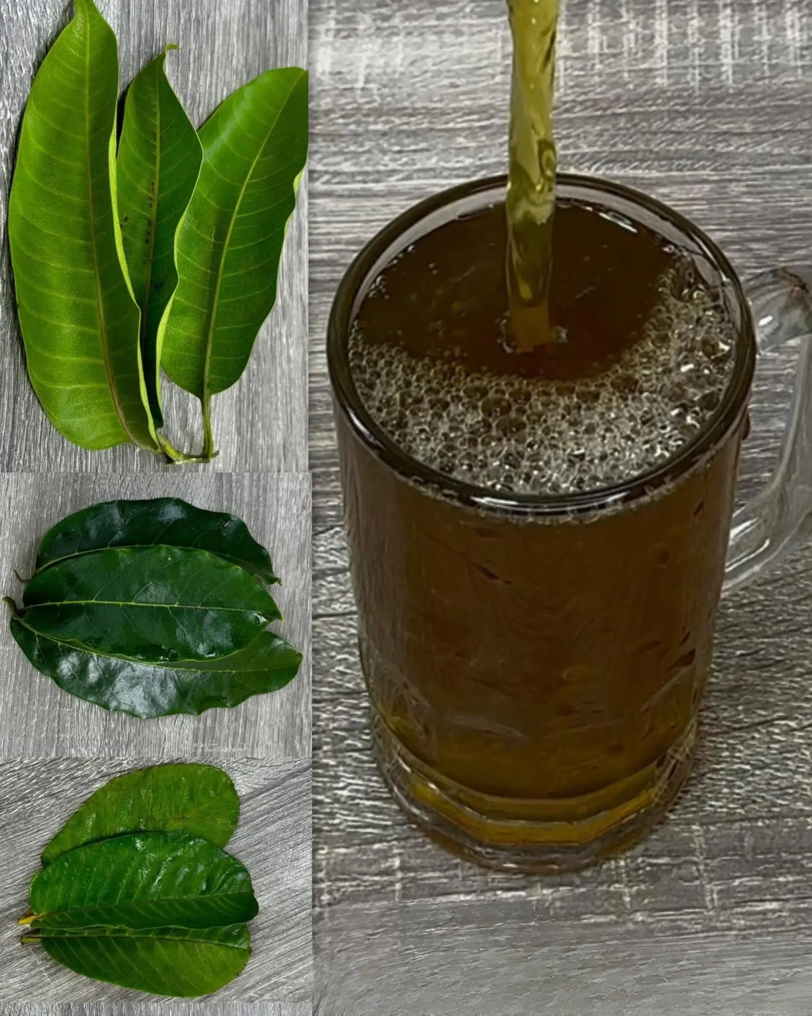 THE FOUR LEAVES THAT ELIMINATE DIABETES, CANCER, FATTY LIVER PROBLEMS, POOR CIRCULATION, AND HIGH BLOOD PRESSURE WITHOUT THE NEED TO TAKE PILLS.