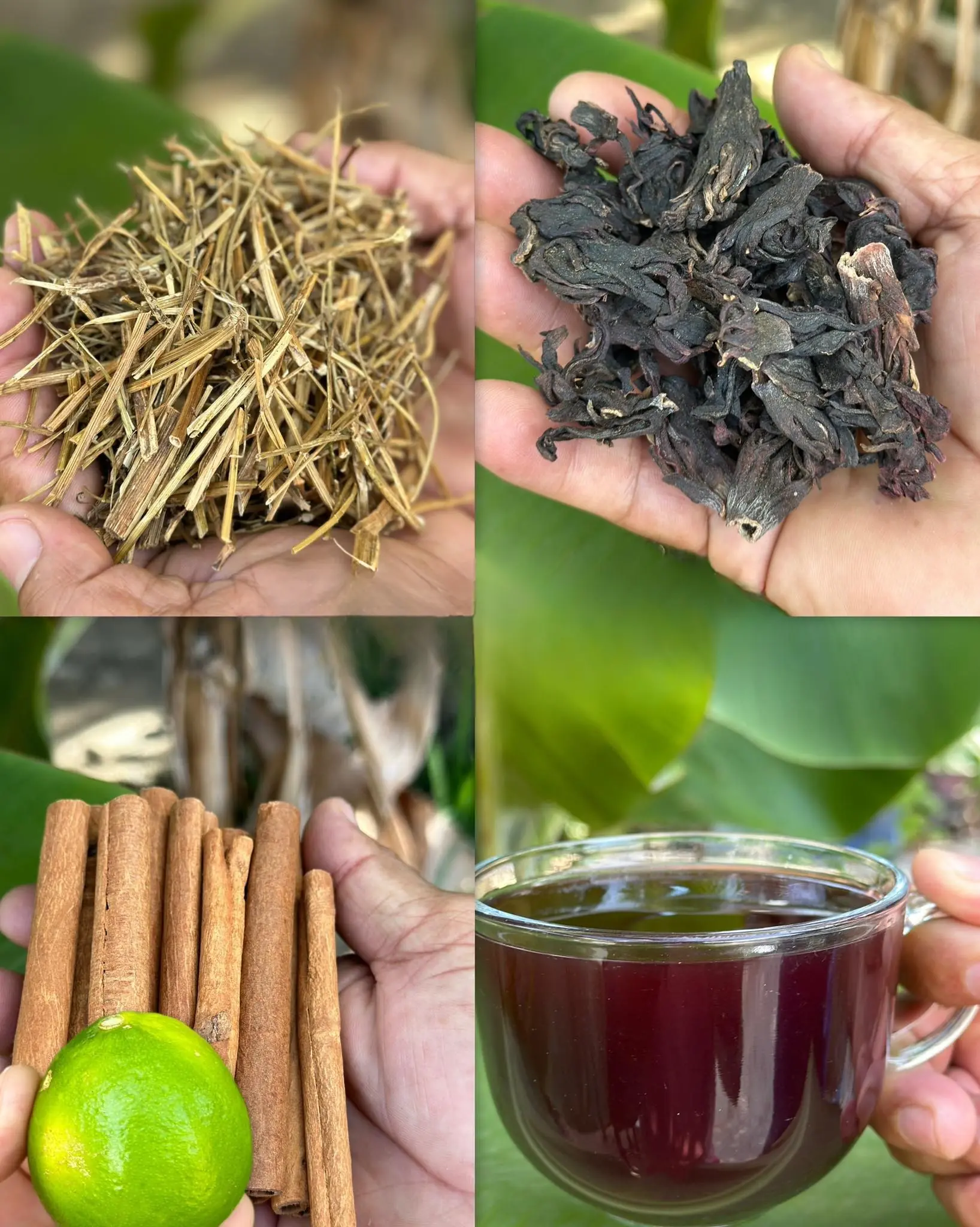 I took it 3 times and lost 10 kilos, cured the poor circulation in my legs, diabetes, bad cholesterol, and cancer
