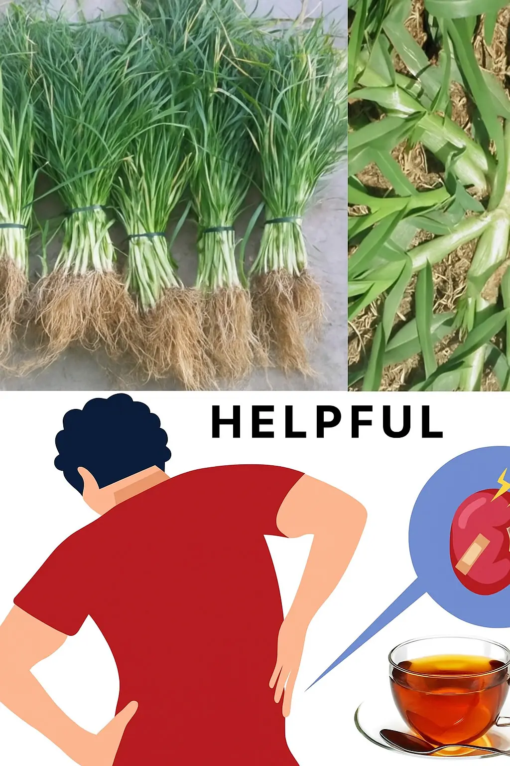 Goosegrass Tea: Nature’s Unassuming Remedy