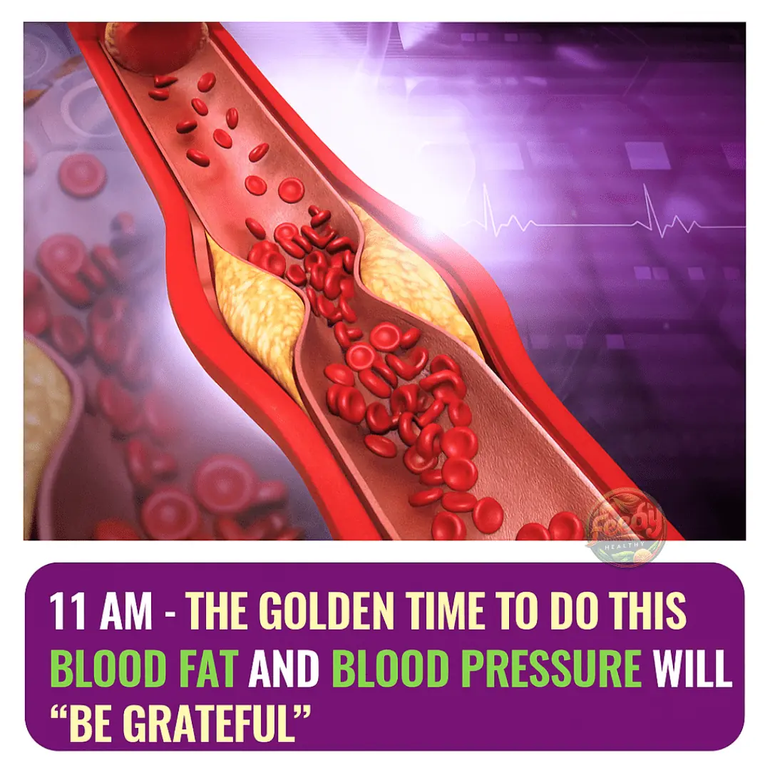 11 AM – THE GOLDEN HOUR WHEN YOUR BLOOD FAT AND BLOOD PRESSURE WILL “BE GRATEFUL” IF YOU REMEMBER TO DO THIS ONE SIMPLE THING…
