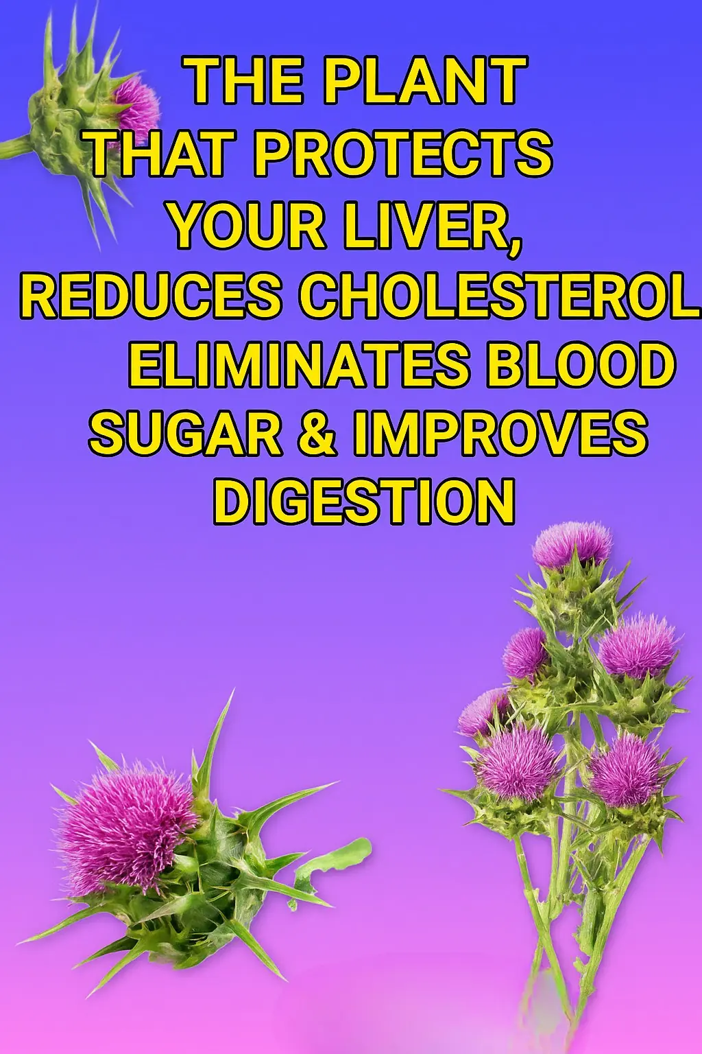 Milk Thistle (Silybum marianum): A Powerful Medicinal Herb for Liver Health and More