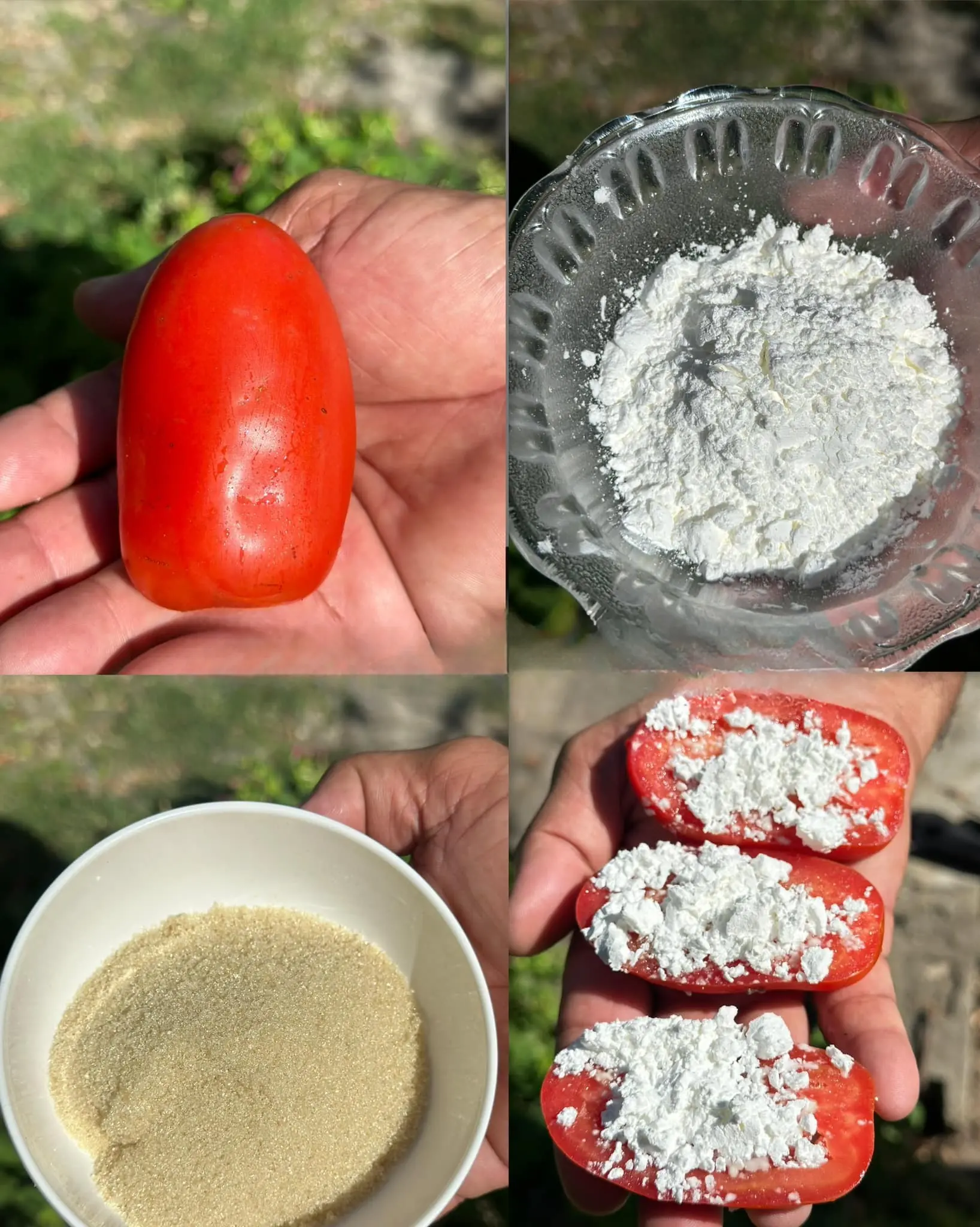 Get Rid of Rats, Cockroaches, and Insects in Your Home with This Simple Homemade Mixture