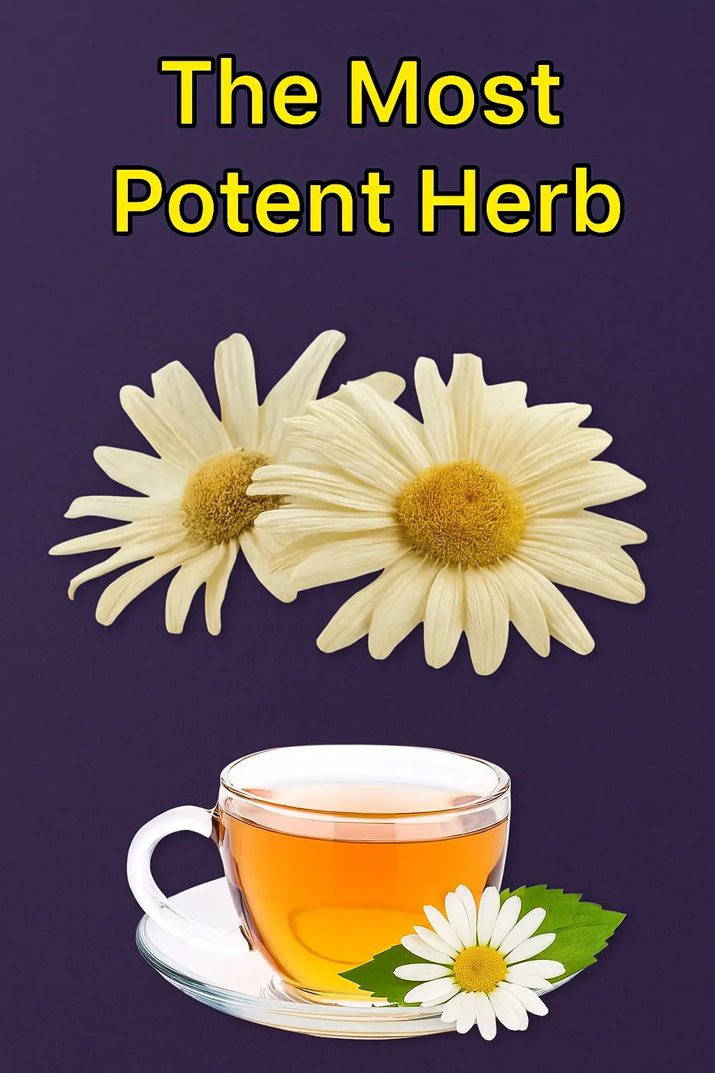 THE MOST POWERFUL HERB