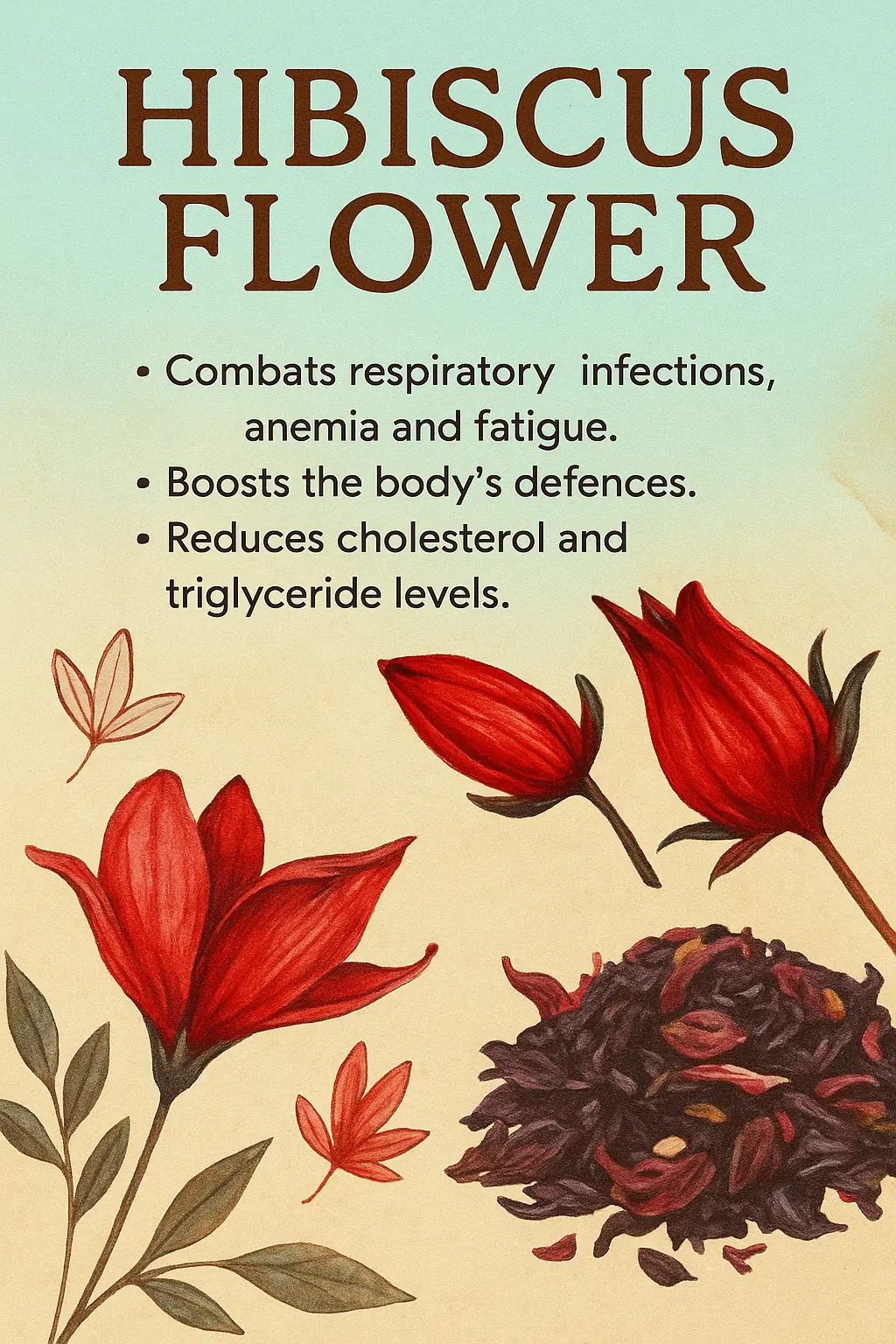 Benefits of Hibiscus Flower 🌹