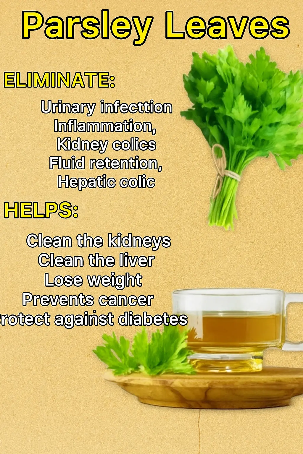 PARSLEY LEAF TEA