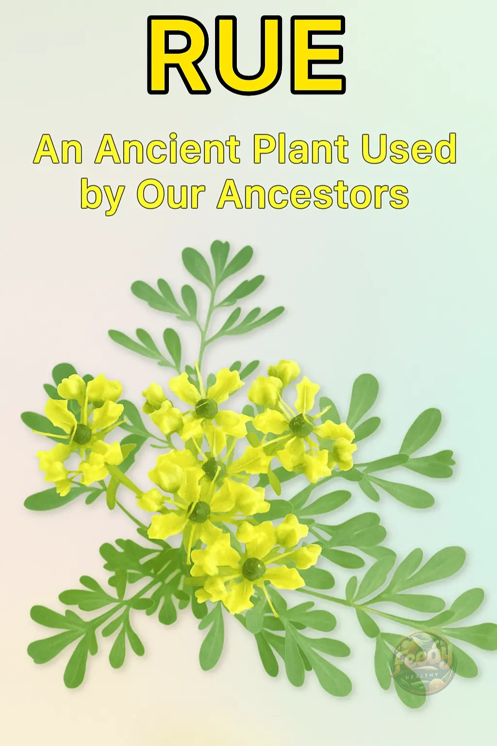 RUE: THE PLANT THAT HEALS BODY AND SOUL