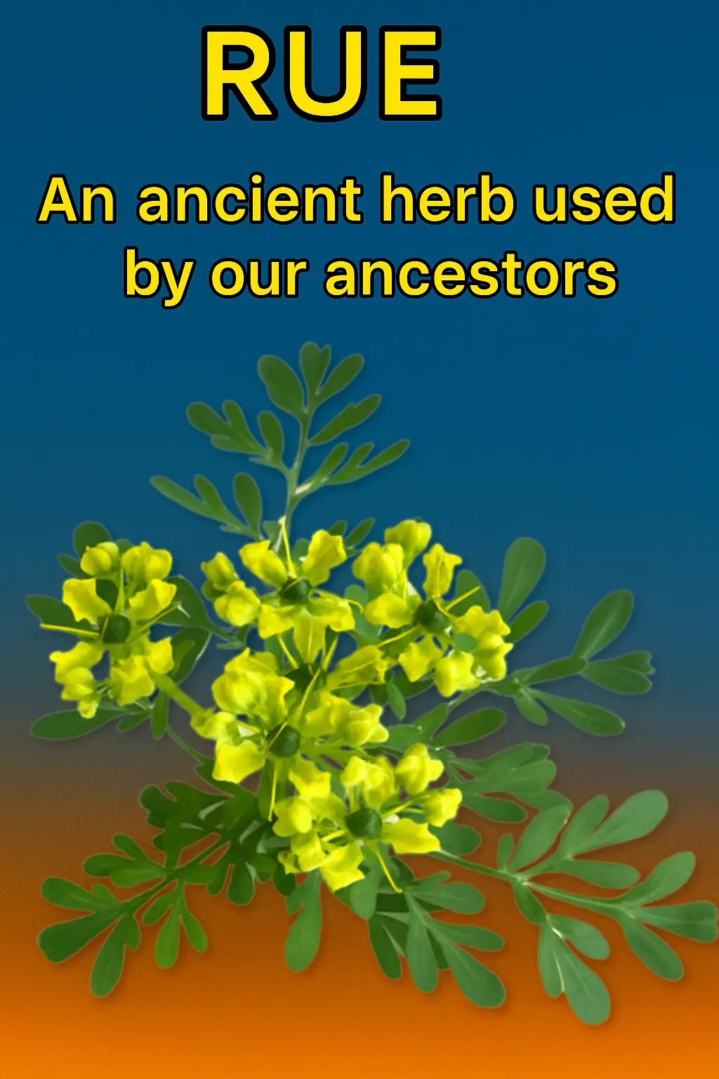 THE PLANT THAT CURES ALL DISEASES