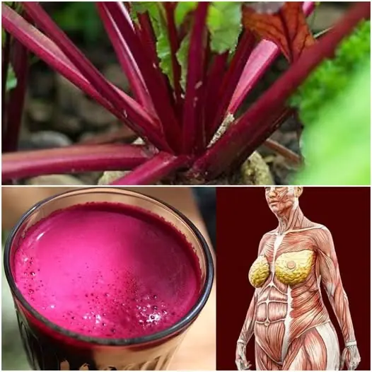 See What Happens When You Drink a Glass of Beetroot Juice Every Day! π₯€πΏ