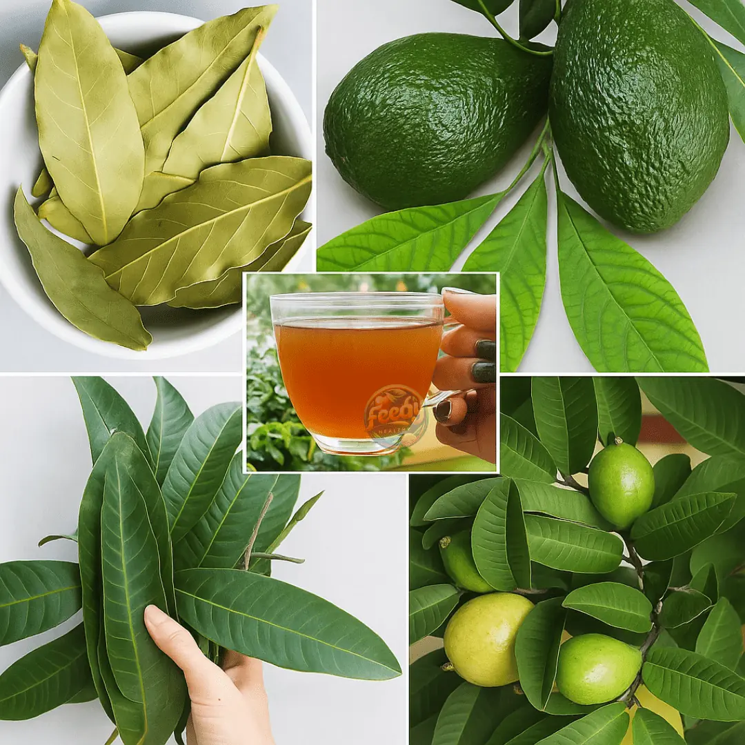 Discover the Healing Power of Four Medicinal Leaves