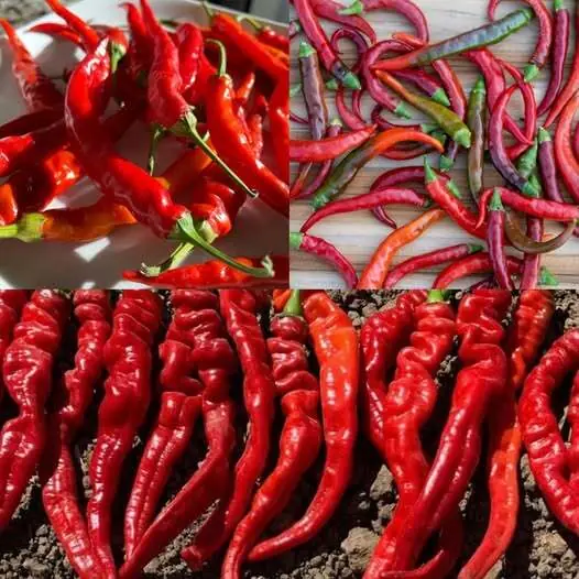 Unveiling the Surprising Health Secrets of Cayenne Pepper