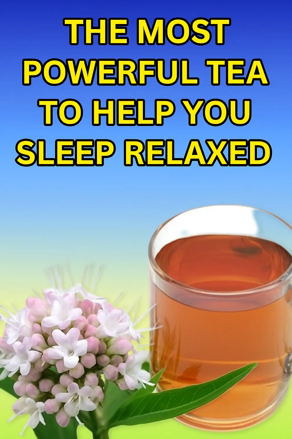 The Most Powerful Tea to Help You Sleep Relaxed: Valerian Root Tea