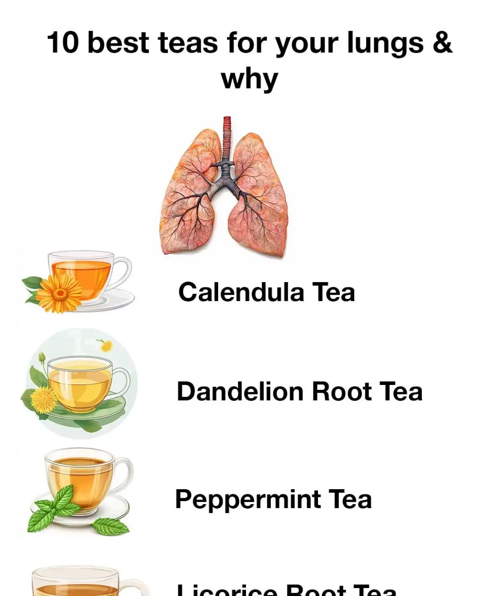 10 best teas for your lungs