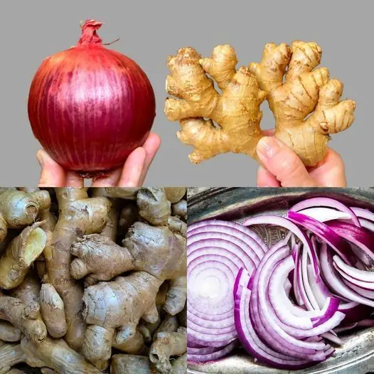 Embracing the Power of Onion and Ginger for a Healthy Life