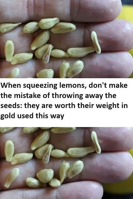 Discover the Hidden Value of Lemon Seeds 🍋✨