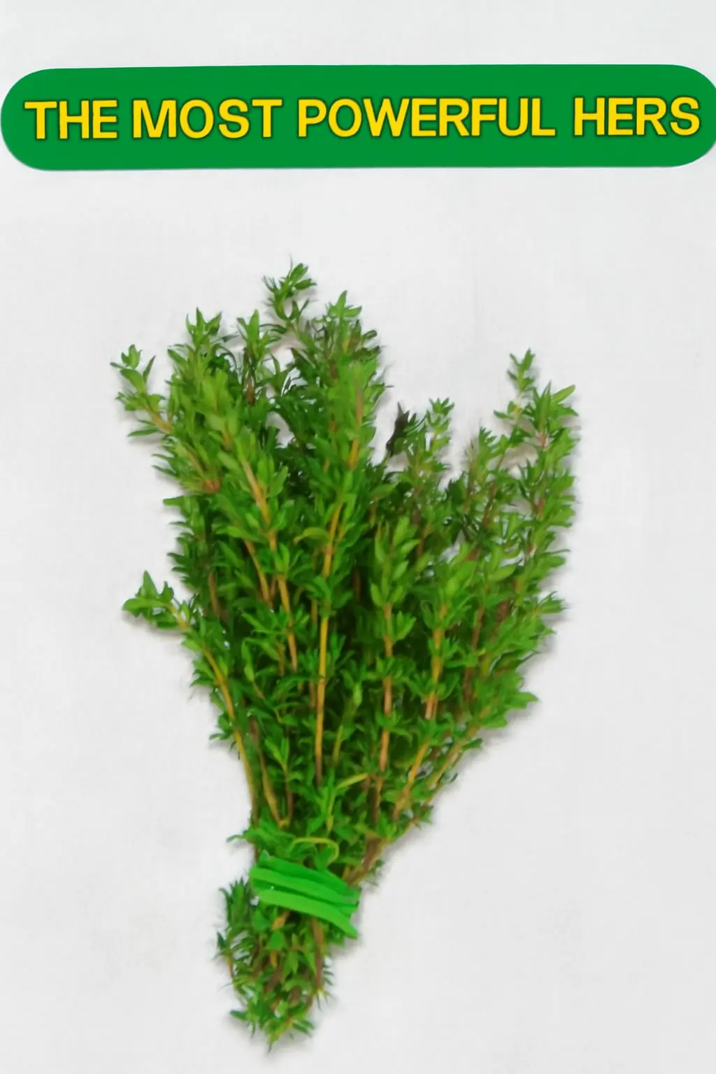 "The Powerful Health Benefits of Thyme"