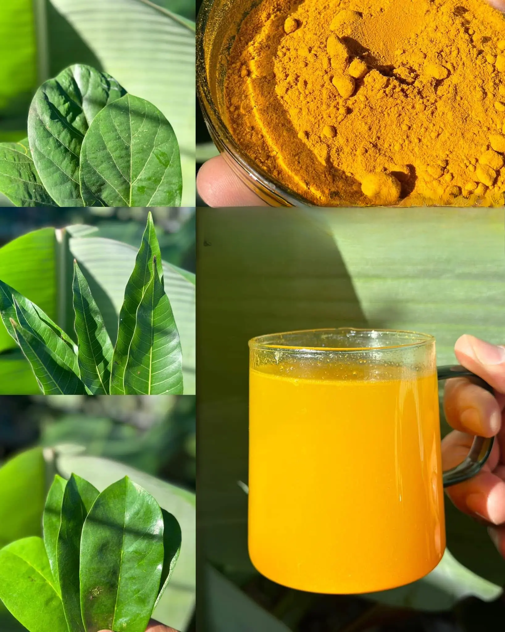The Powerful Natural Drink to Heal Cancer, Diabetes, High Blood Pressure, and Poor Circulation