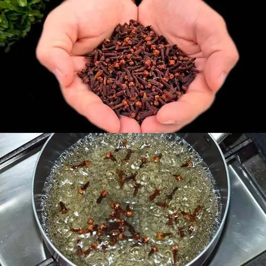 The Power of Cloves: A Natural Miracle for Health
