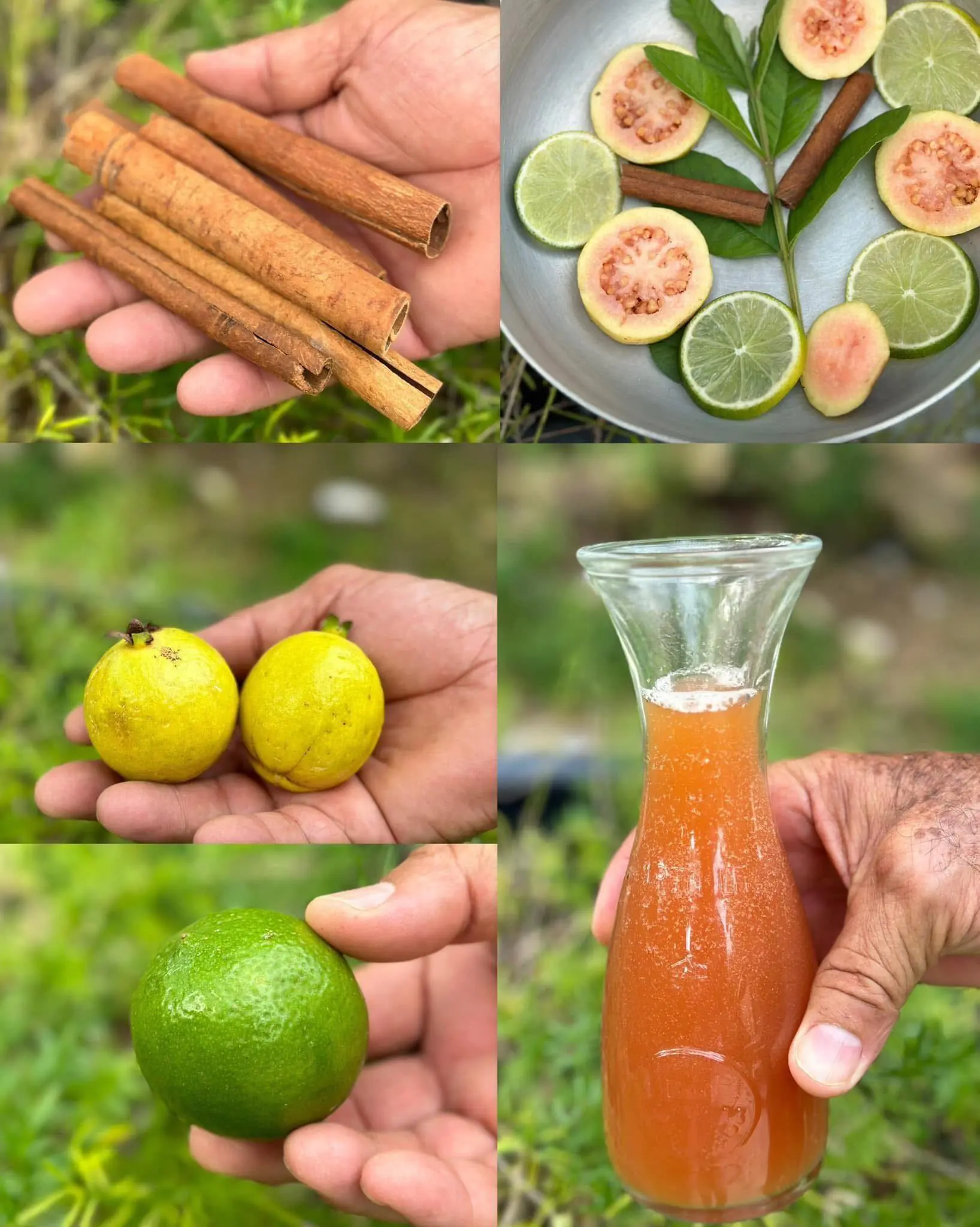 Health Benefits of Guava, Cinnamon, and Lemon Tea