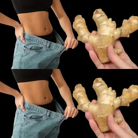 Discover the Power of Ginger for Shedding Belly Fat