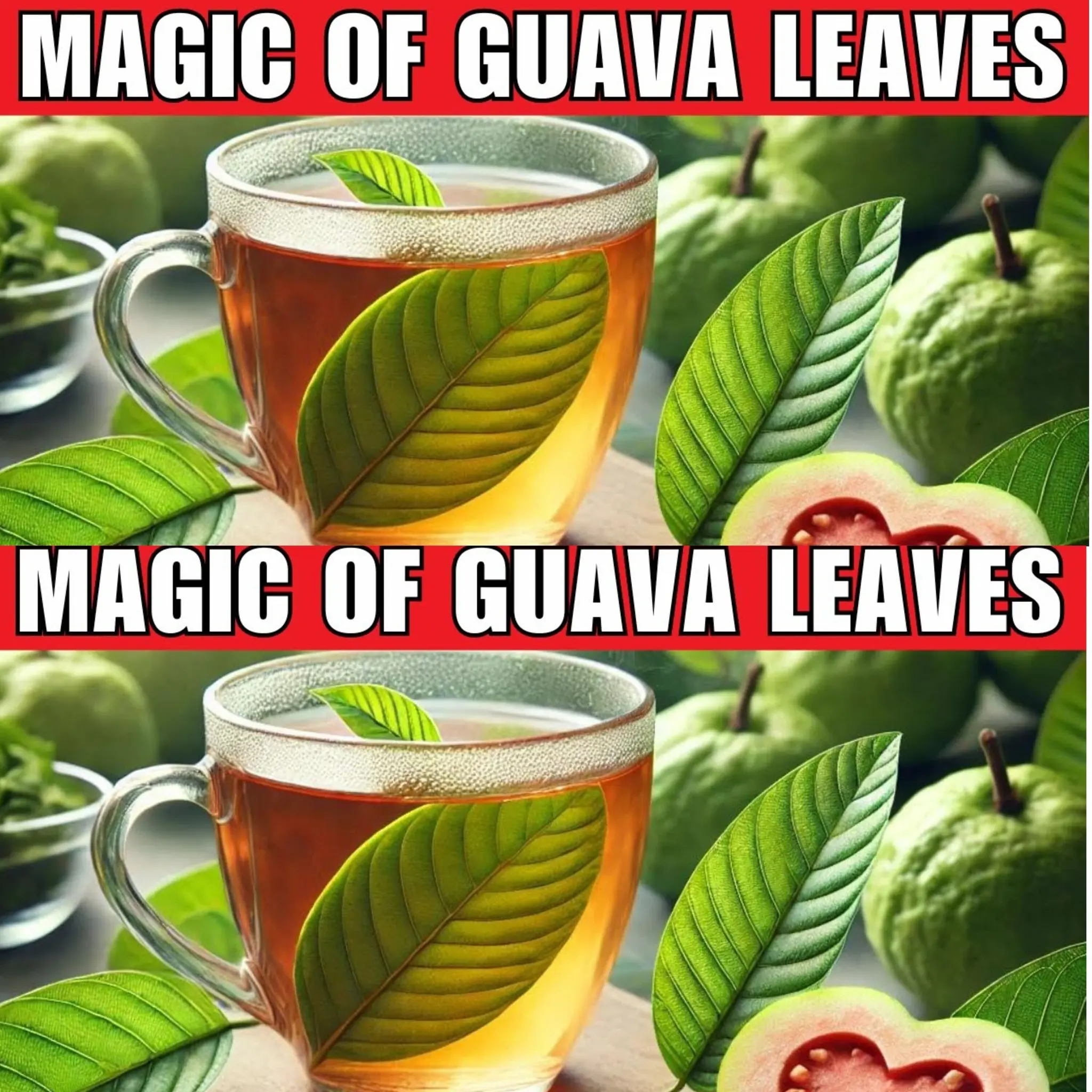 20 Amazing Benefits of Guava Leaves You Wish You Knew Sooner
