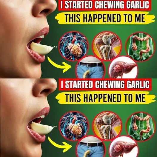 Unlock the Power of Garlic: Chew Two Cloves Daily for Better Health