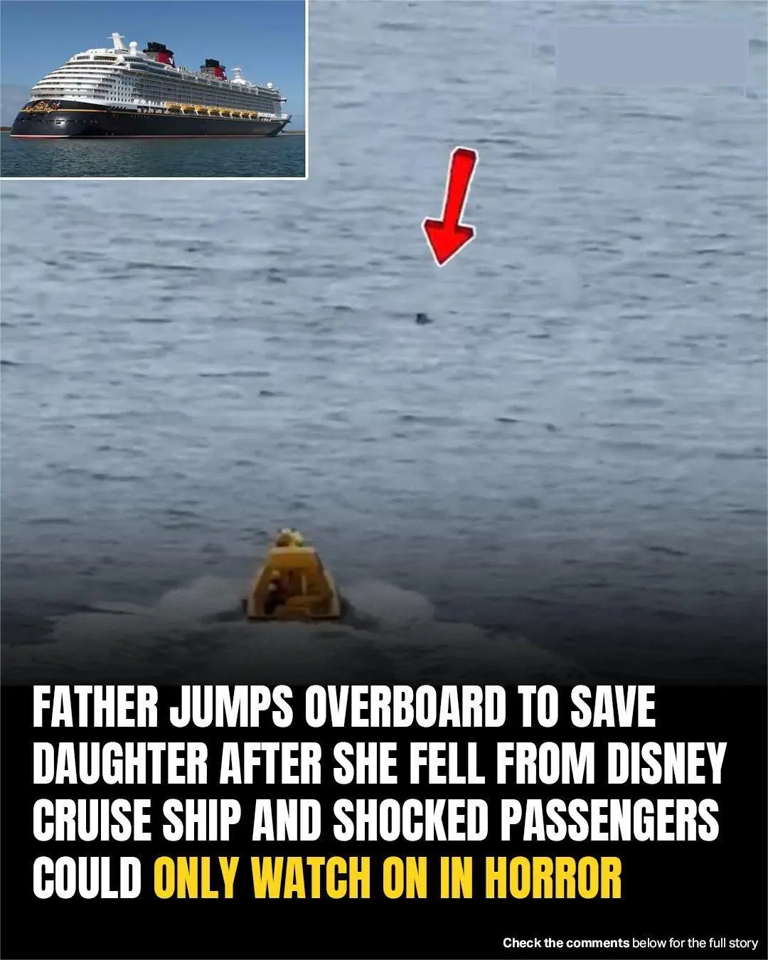 Hero Dad Leaps Off Disney Cruise Ship To Save Daughter Who Fell Overboard