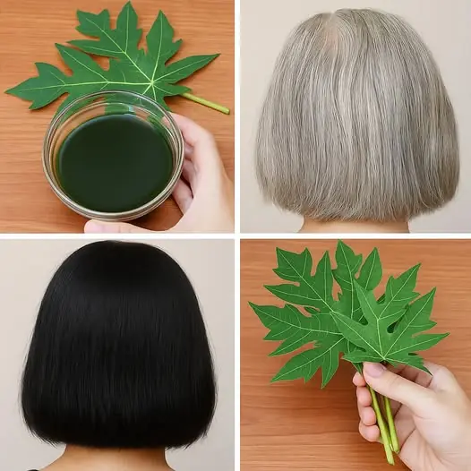 Embrace Youthful Hair with Papaya Leaves!