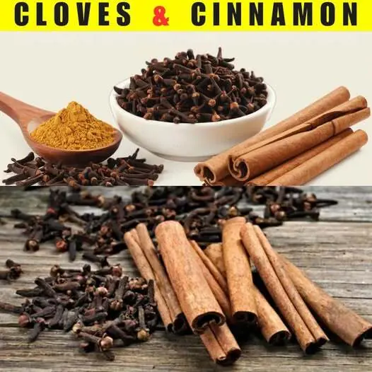Mixing Cloves with Cinnamon for Powerful Health Benefits! πΏπ₯