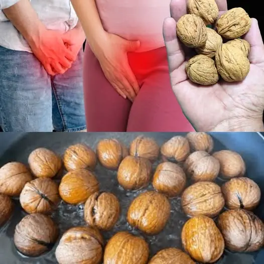 Walnut Tea: Unlocking the Power of Nature for Your Health