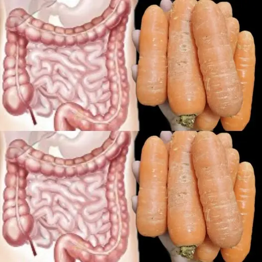 Rejuvenate Your Intestines and Liver with the 3-Day Carrot Cleanse!