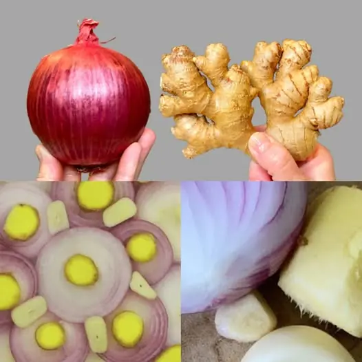 Discover the Health Benefits of Red Onion and Ginger Tonic