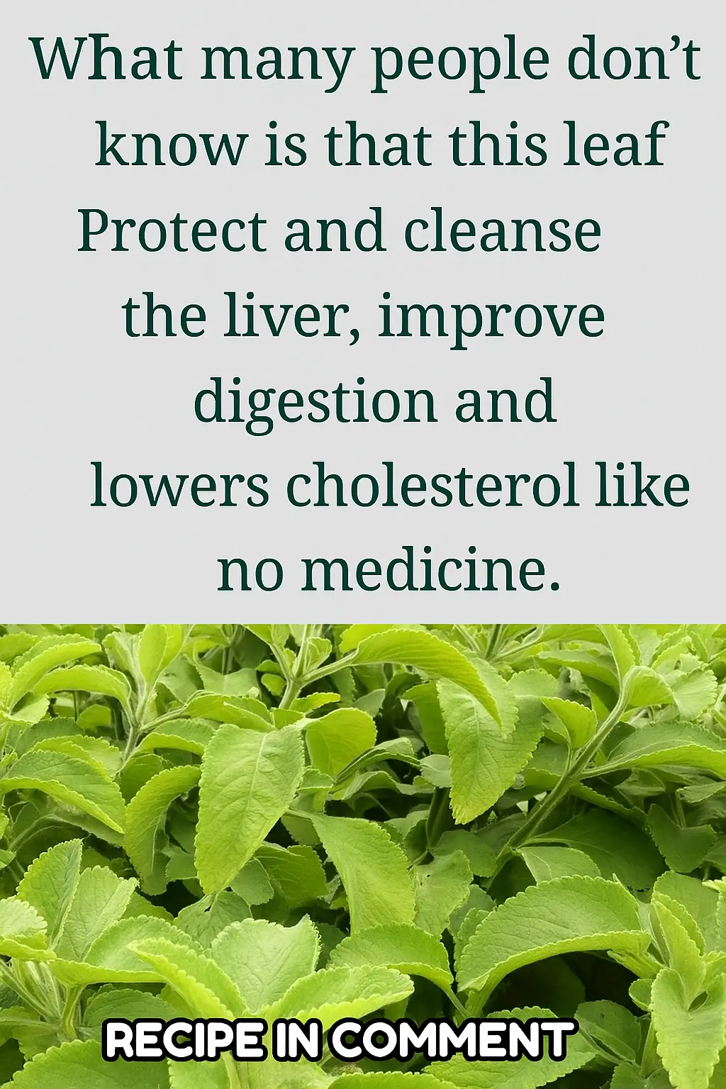 Discover the Most Powerful Herb to Cleanse and Protect Your Liver
