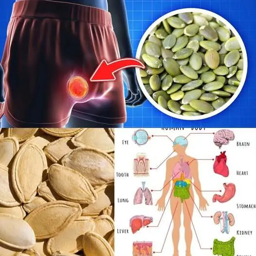 The Benefits of Eating Pumpkin Seeds Daily