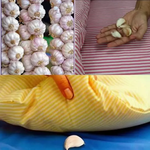 Discover the Benefits of Sleeping with Garlic Under Your Pillow