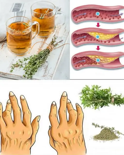 Unlocking the Power of Thyme: Combat Poor Circulation, Fatty Liver, High Blood Pressure, and Anxiety