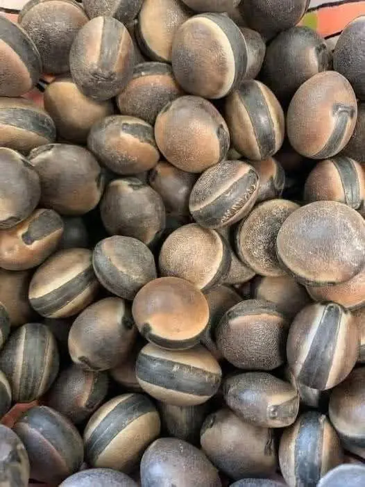 Discover the Power of the Tahitian Nut: A Natural Remedy Against Cancer