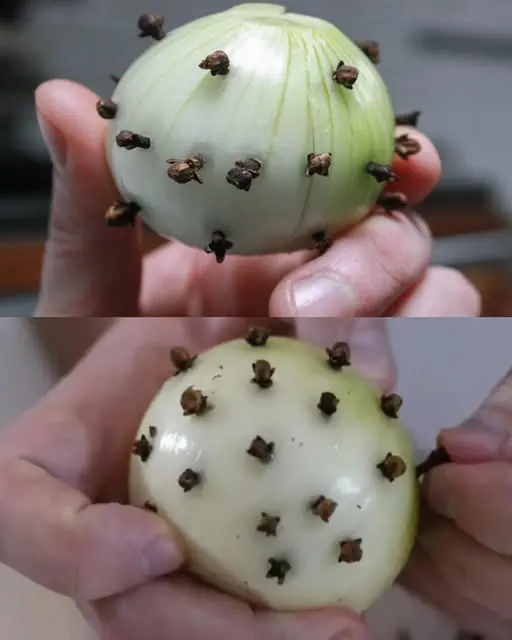 The Power of Onion and Cloves: A Natural Remedy for Health and Home